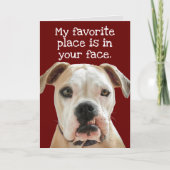 American Bulldog No Bull Father's Day Card Karte (Vorderseite)