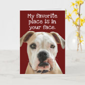 American Bulldog No Bull Father's Day Card Karte (Gelbe Blume)