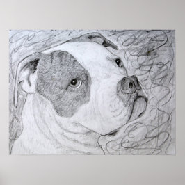 American Bulldog Pet Portrait Art Pencil Zeichnend Poster