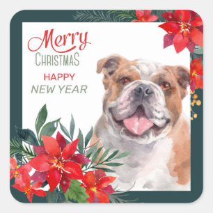 American Bulldog Poinsettia - Weihnachten Quadratischer Aufkleber