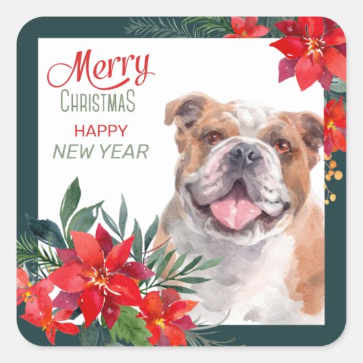 American Bulldog Poinsettia - Weihnachten Quadratischer Aufkleber (Vorderseite)