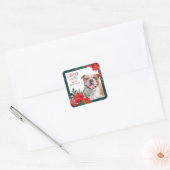 American Bulldog Poinsettia - Weihnachten Quadratischer Aufkleber (Umschlag)