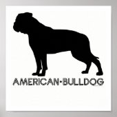 American Bulldog Print Poster (Vorne)
