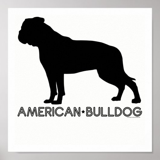 American Bulldog Print Poster (Vorne)