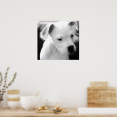 American Bulldog Pups Poster (Küche)
