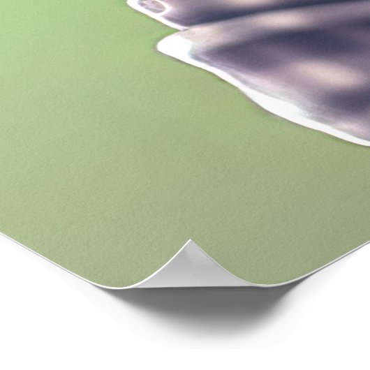 American Bullfrog Hipster Poster (Ecke)