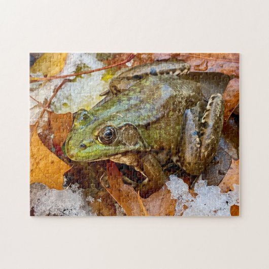 American Bullfrog in Snow Puzzle (Horizontal)