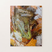 American Bullfrog in Snow Puzzle (Vertikal)