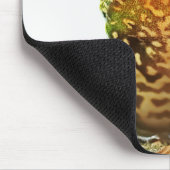 American Bullfrog Posing Mouse Pad Mousepad (Ecke)