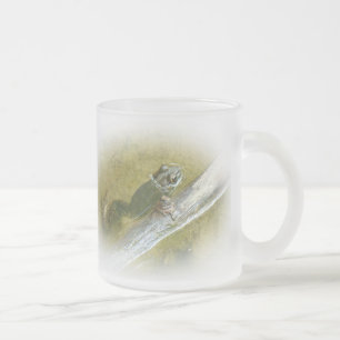 American Bullfrog - Rana catesbeiana Mattglastasse