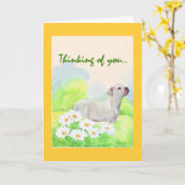 American Bullldog Beileid Karte (Gelbe Blume)