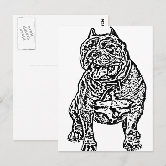 American Bully Dog Postkarte (Vorne/Hinten)