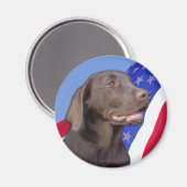 American Chocolate Labrador Magnet (Vorderseite/Rückseite)