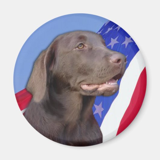 American Chocolate Labrador Magnet (Vorne)