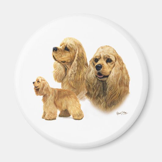 American Cocker Spaniel Magnet (Vorne)