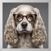 American Cocker Spaniel Poster (Vorne)