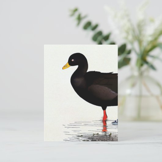 American Coot - Bird - Nature Art Card Postkarte (Stehend Vorderseite)
