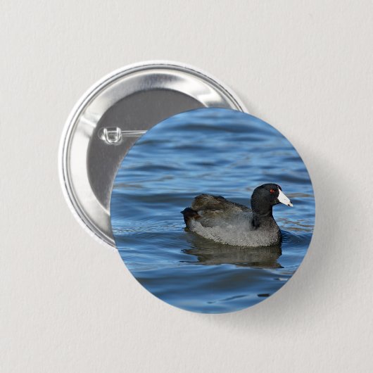 American Coot Button (Vorne & Hinten)