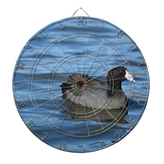 American Coot Dartscheibe (vorne)