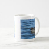 American Coot Kaffeetasse (VorderseiteRechts)