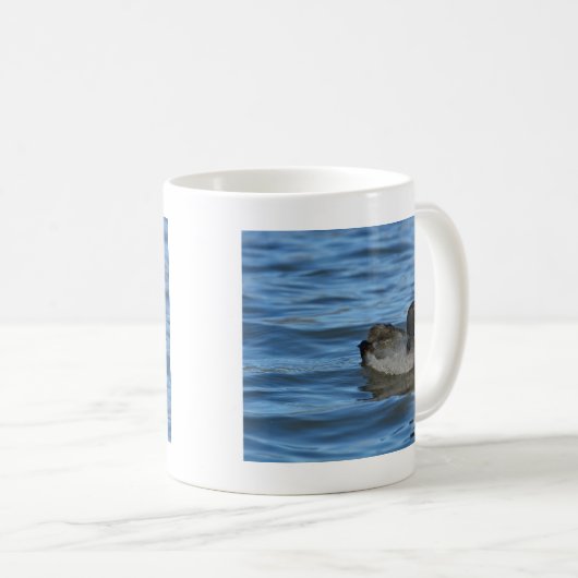American Coot Kaffeetasse (VorderseiteRechts)