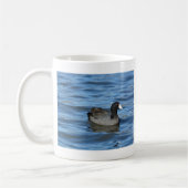 American Coot Kaffeetasse (Links)
