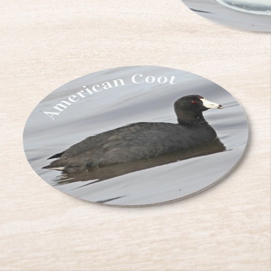 American Coot Runder Pappuntersetzer (Angewinkelt)