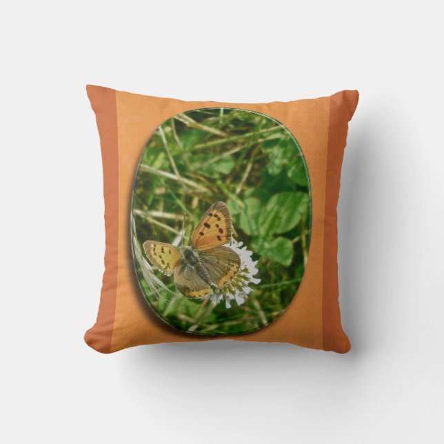 American Copper Butterfly Kissen (Vorderseite)