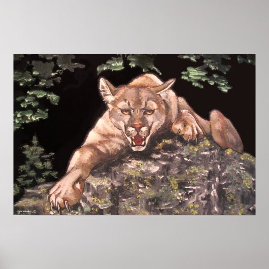 American Cougar Poster (Vorne)