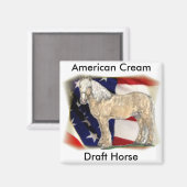 American Cream Horse Magnet (Vorderseite/Rückseite)