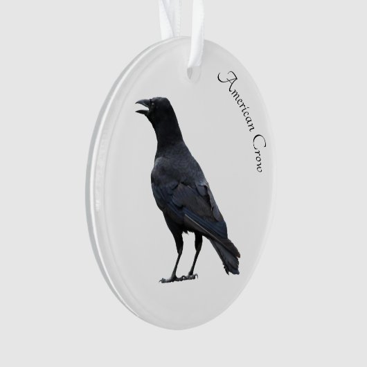 American Crow Ornament (Vorderseite)