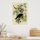 American Crow Poster (Küche)