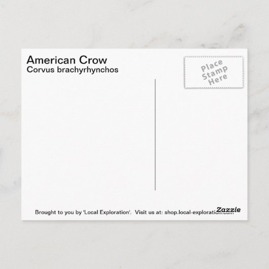 American Crow Postkarte (Rückseite)
