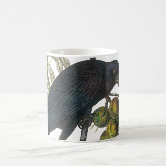 American Crow von Audubon Kaffeetasse (Mittel)