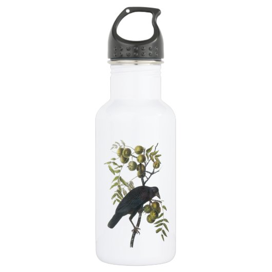 American Crow von Audubon Trinkflasche (Vorderseite)
