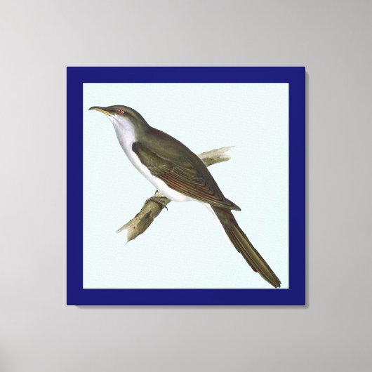 American Cuckoo Bird Canvas Print Leinwanddruck (Vorderseite)