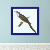 American Cuckoo Bird Canvas Print Leinwanddruck (Insitu (Holzboden))