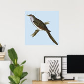 American Cuckoo Bird Poster (Heimbüro)
