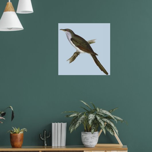 American Cuckoo Bird Poster (Wohnzimmer 1)