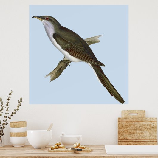 American Cuckoo Bird Poster (Küche)