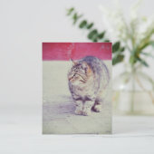 American Curl Cat Venice Italien Europa Postkarte (Stehend Vorderseite)