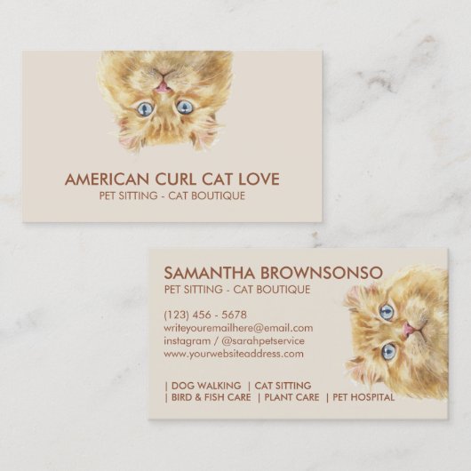 American Curl Cat Visitenkarte (Vorne/Hinten)