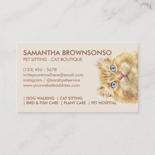 American Curl Cat Visitenkarte (Rückseite)