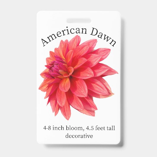 American Dawn Dahlia ID Abzeichen Ausweis (Vorderseite)