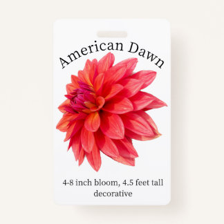 American Dawn Dahlia ID Abzeichen Ausweis