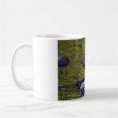 American Dipper Kaffeetasse (Links)