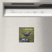 American Dipper Magnet (In Situ (Geschirrspüler))