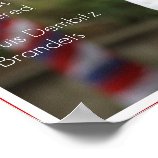 American Diversity Patriotic Poster (Ecke)