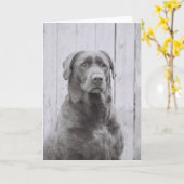 American Dog Karte (Gelbe Blume)