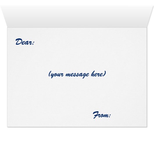 American Eagle (Innenansicht Horizontal (Unten))